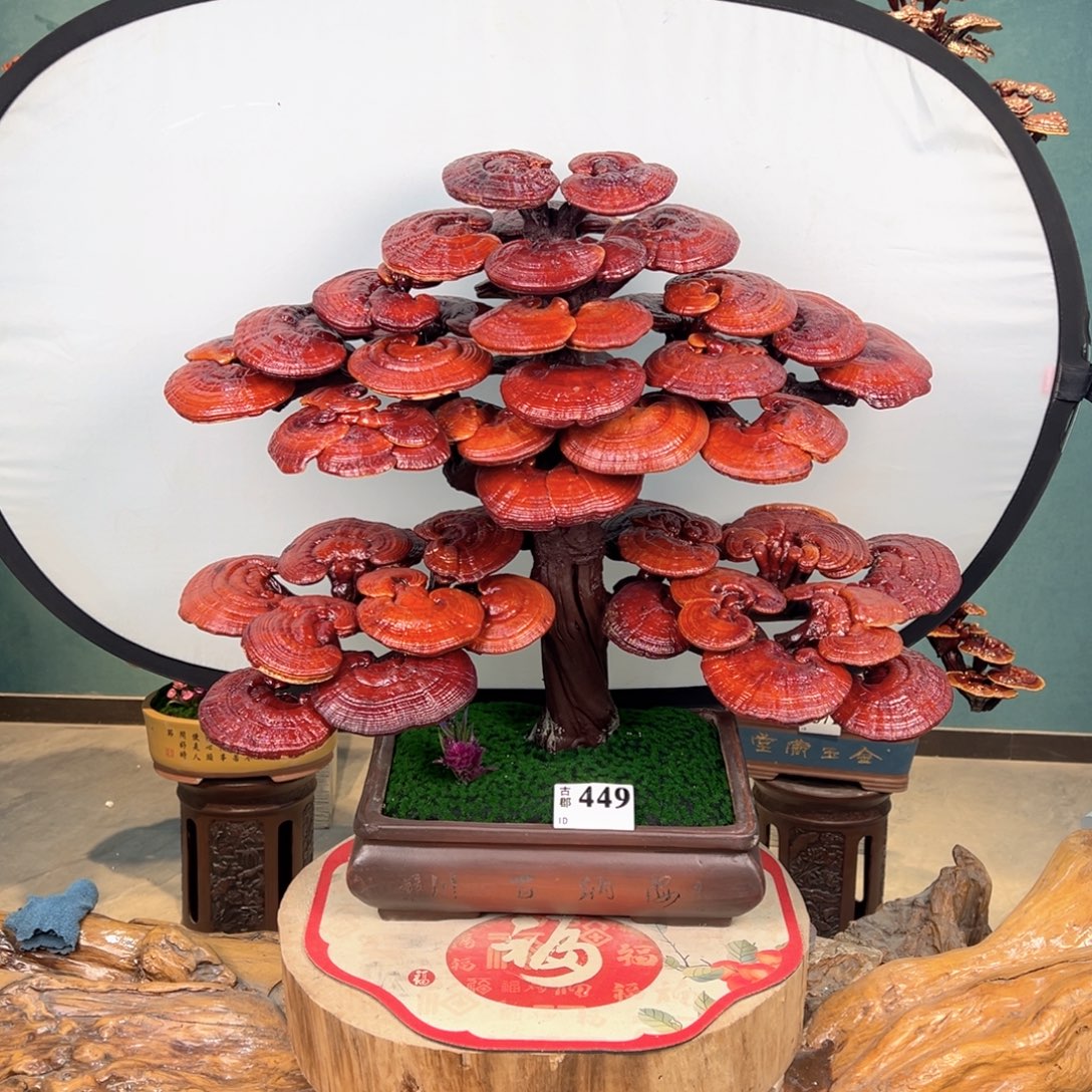 无花朵888888888888