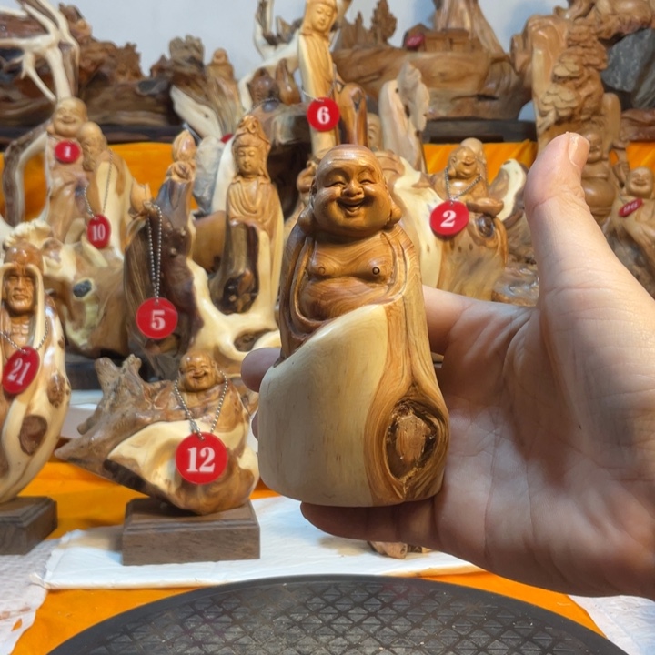 柏木（崖柏）  弥勒 