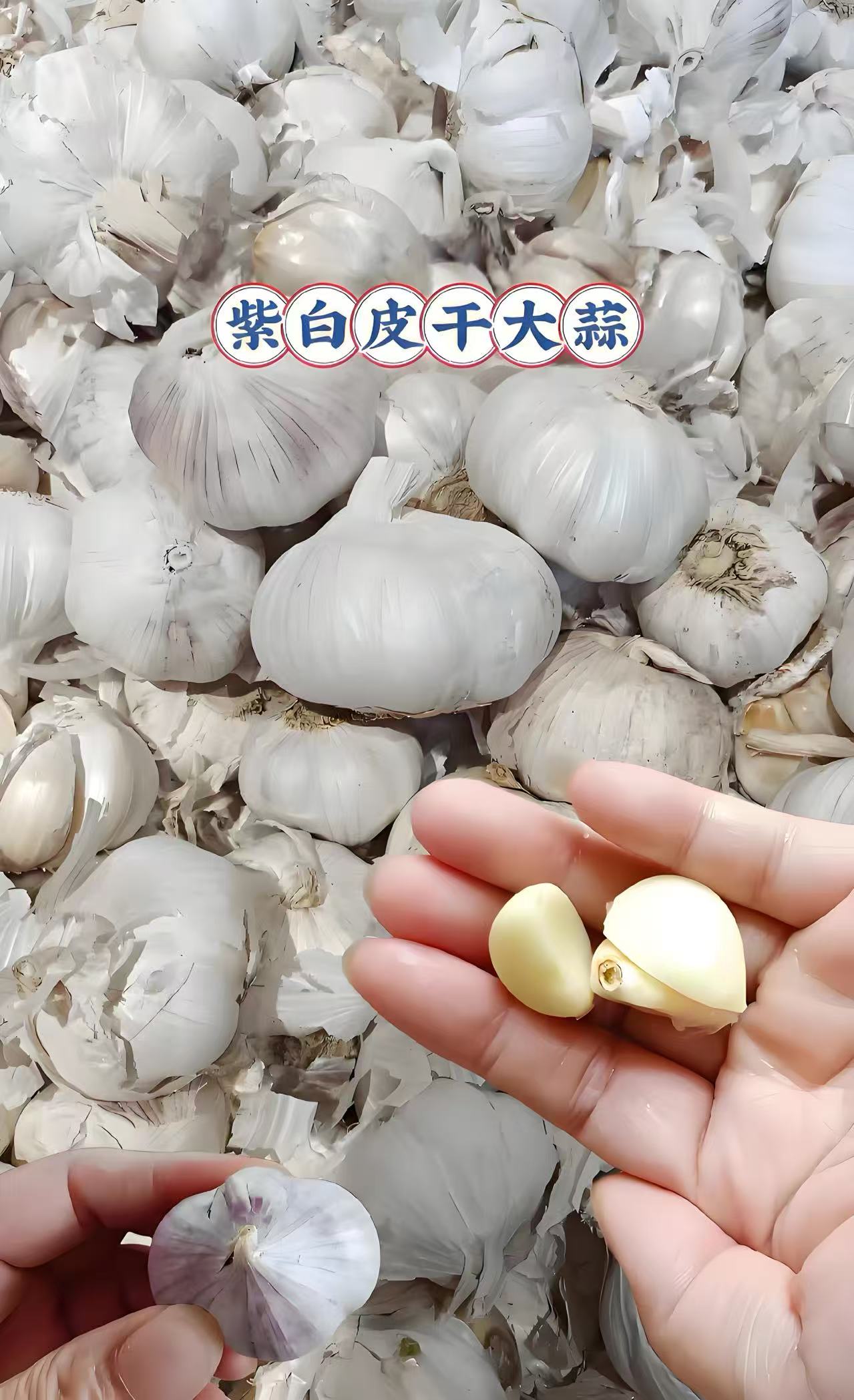 李蝶优选河南干大蒜