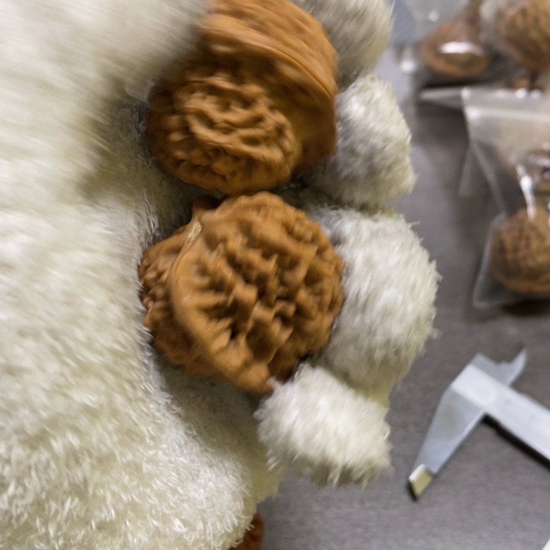 秦岭南北风的秦闷