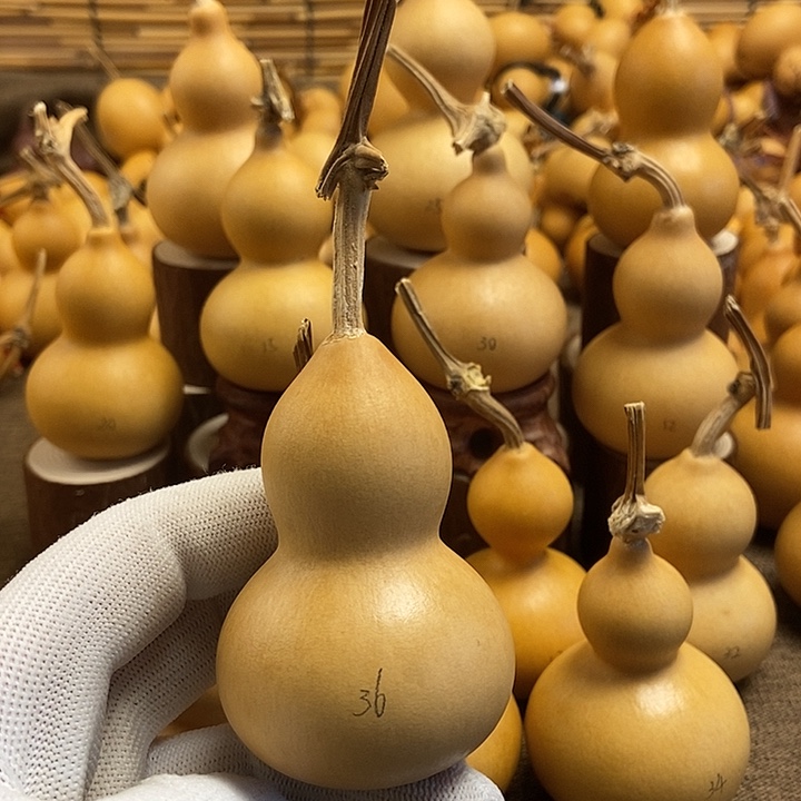 文玩葫芦 完美主义者 慎拍36