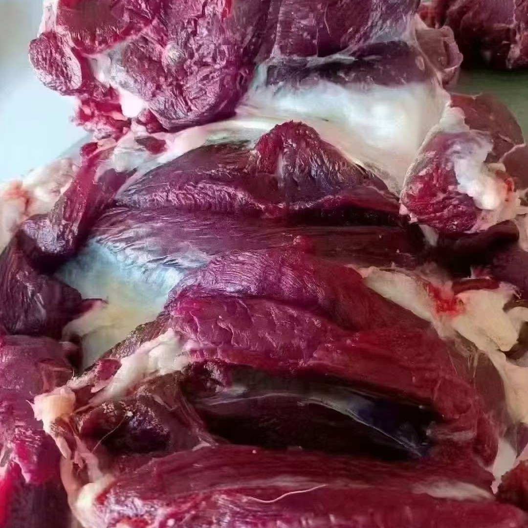 吉林长春鹿乡源头鹿场鲜鹿肉