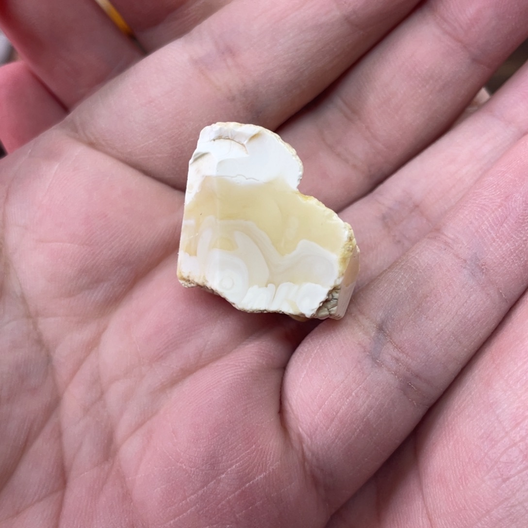 定制琥珀未镶嵌?天然琥珀
