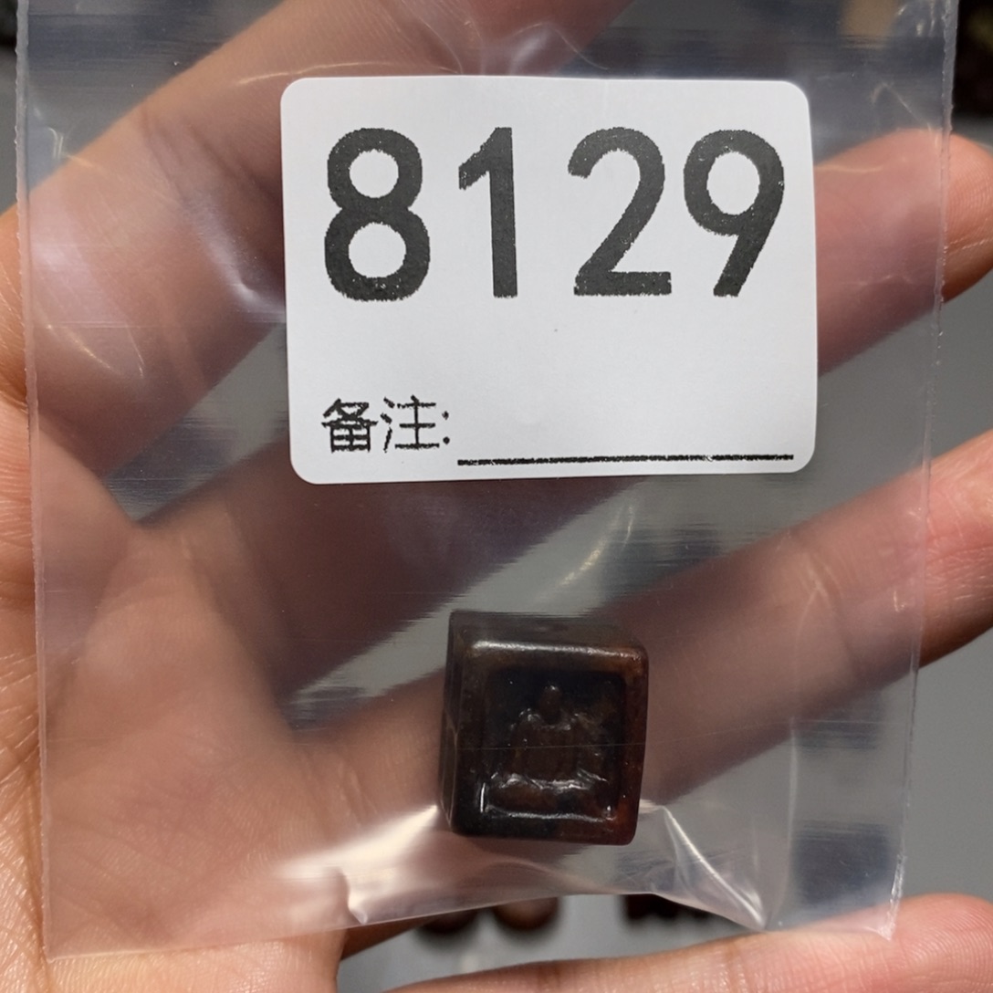 颈饰未镶嵌透闪石质玉⁽****⁾
