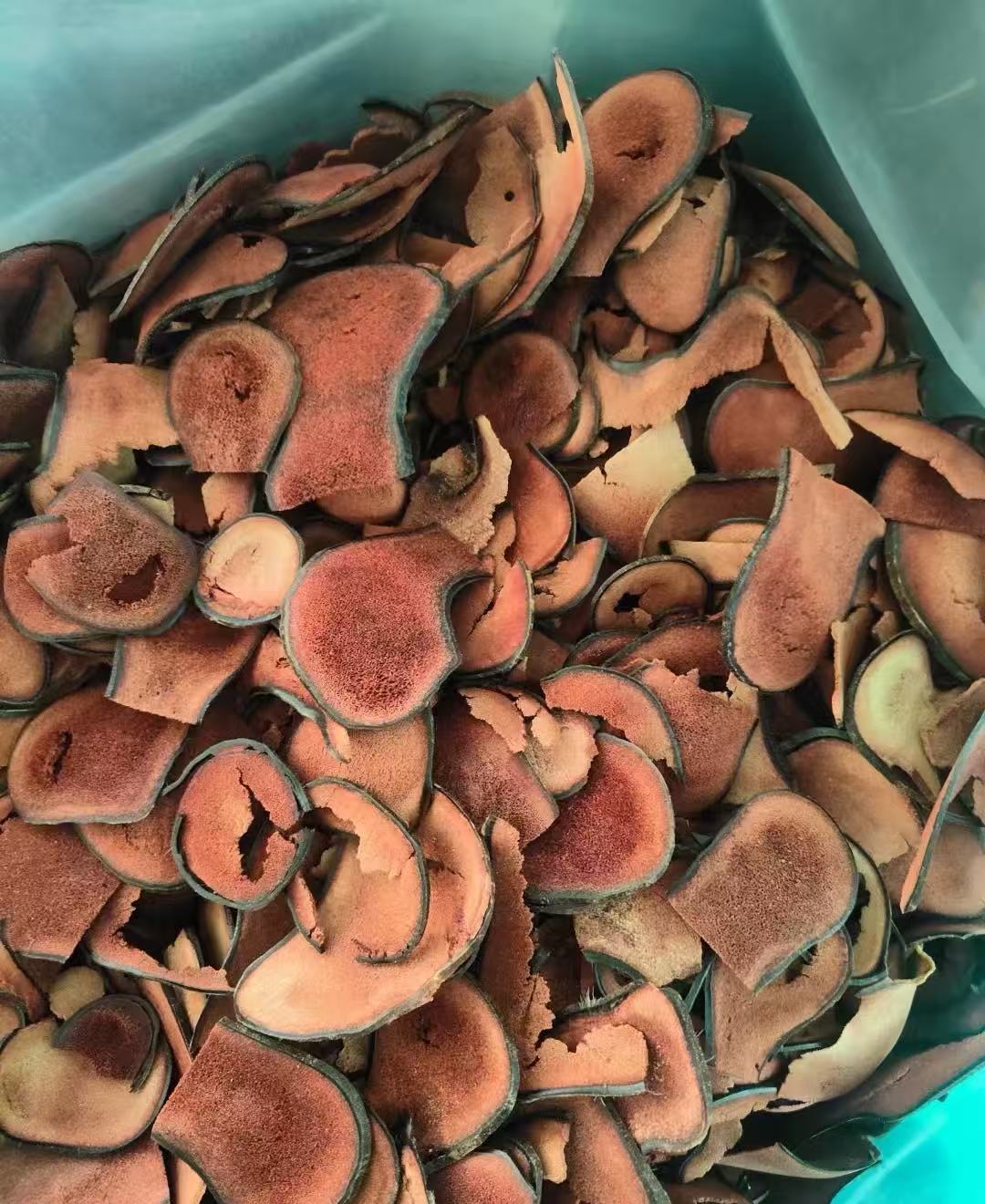 【惠顺堂】惠顺姐严选鹿茸红粉碎片可煮水炖汤泡酒打粉 顺丰包邮