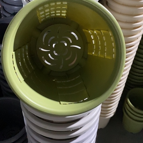 树脂测控2号无托果绿5个