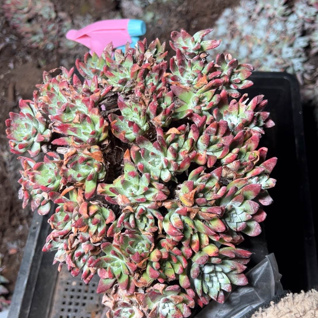 6241哈哈哈哈哈哈哈哈哈