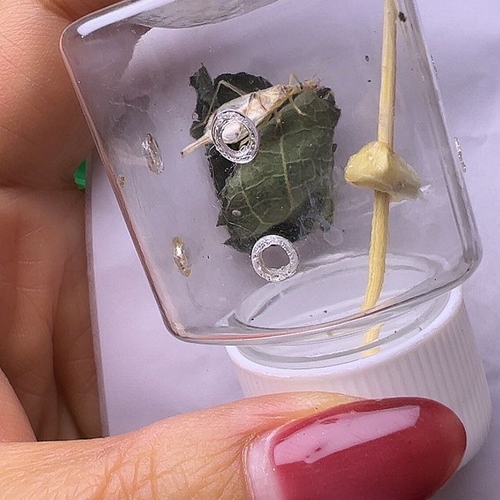 用***7哈哈哈哈哈哈哈哈哈哈哈哈哈哈