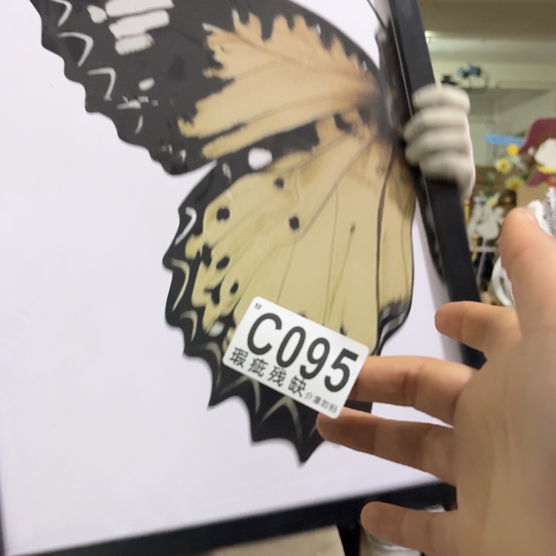 核桃木/黑胡桃（胡桃木）