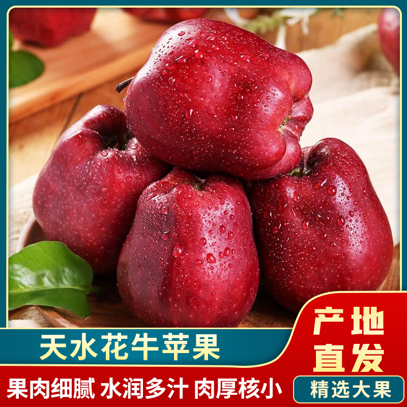 【现摘现发】正宗天水花牛苹果带箱9斤老人孕妈妈宝宝辅食脆粉两吃