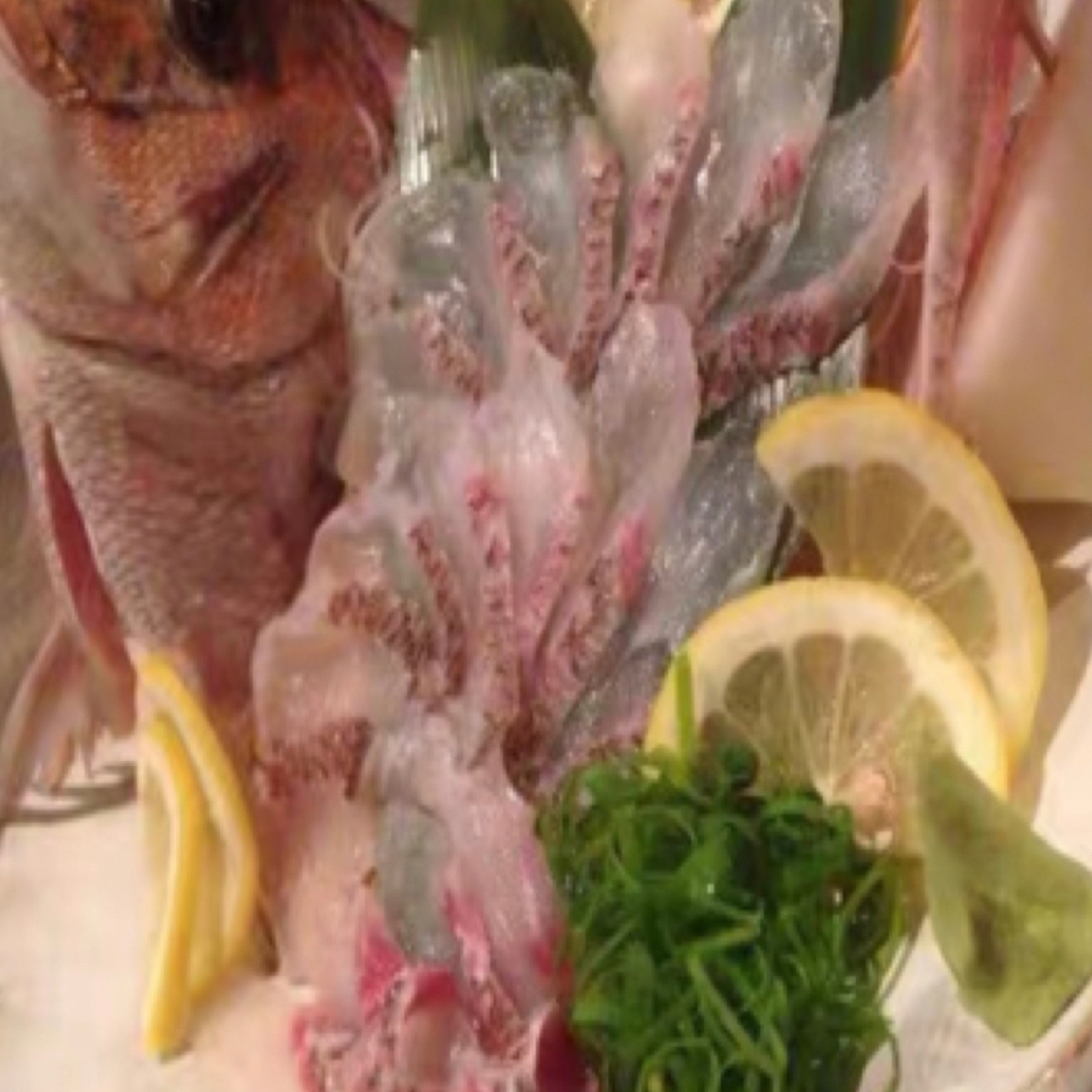 霞鲜生严选。福建东海海捕海鱼。现捕现捞。保底12斤速冻锁鲜。鲷鱼