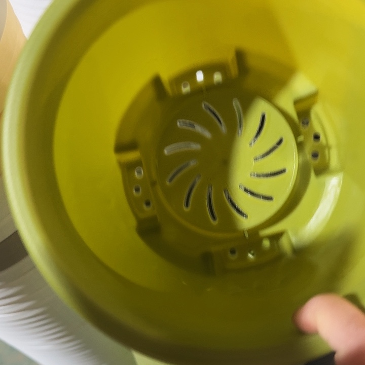 球根盆2号果绿无托10个