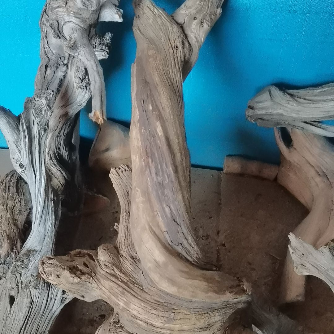 盛***生柏木（崖柏）崖柏摆件，，，，，