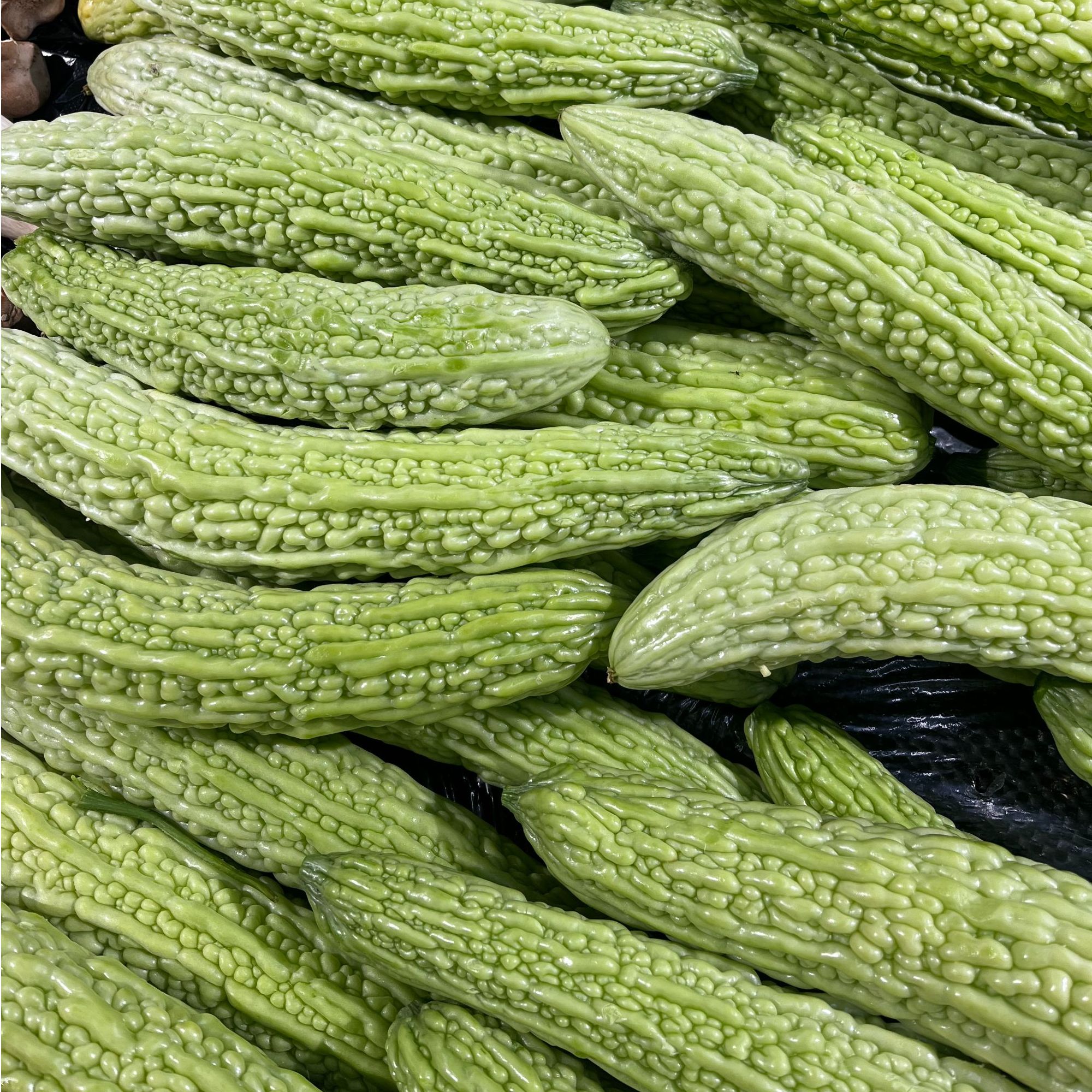 白苦瓜约550g苦瓜同城送白苦瓜