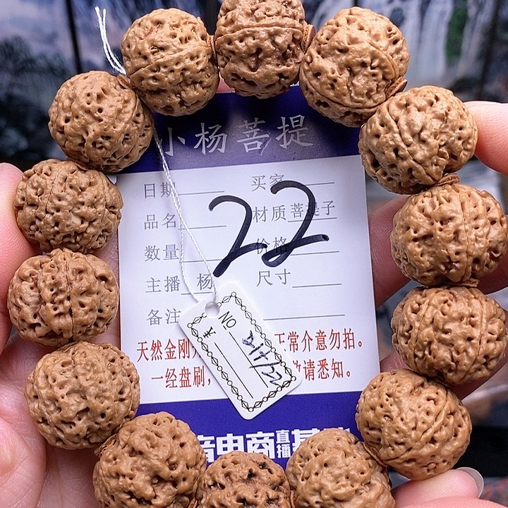 手串金刚菩提21.5/22玉珠双龙