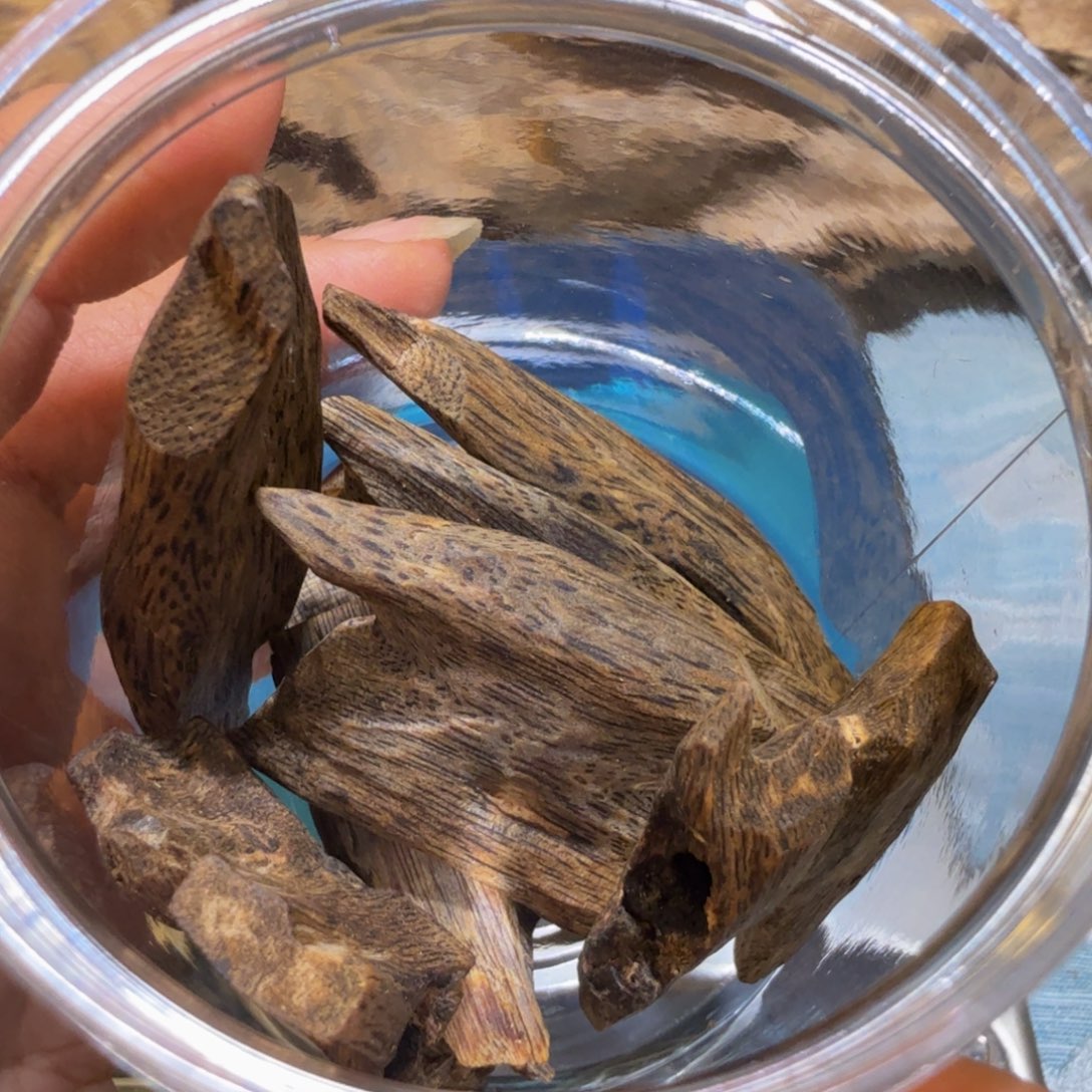 沉香沉香枕张勺子原母树高端老料31克