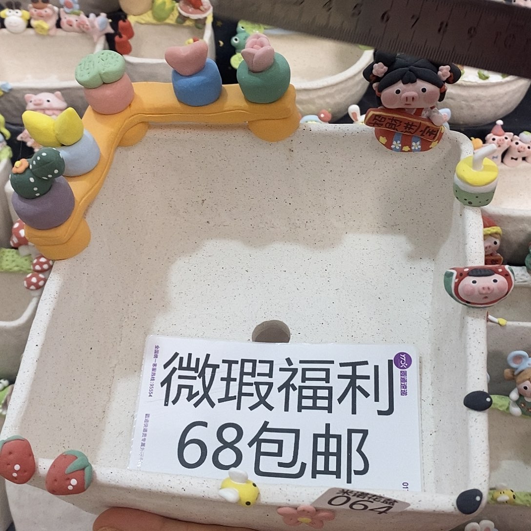 米诺多肉植物花盆064