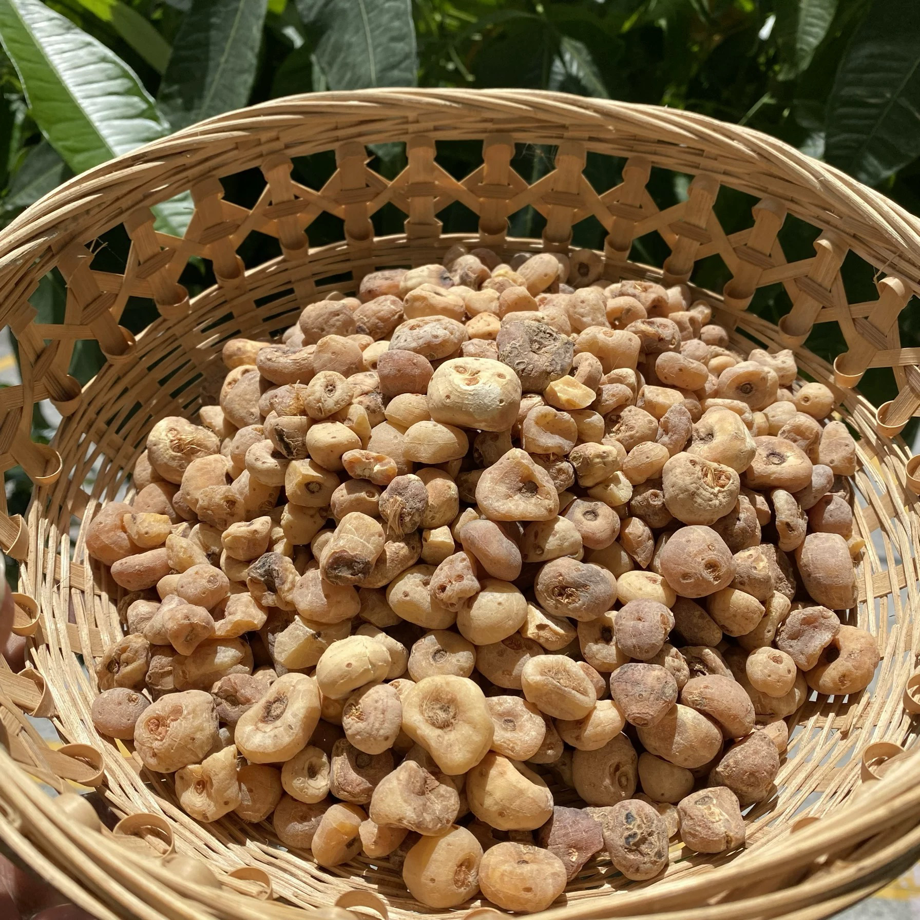 云南山货 现收（玉，皇，丹）农产品
