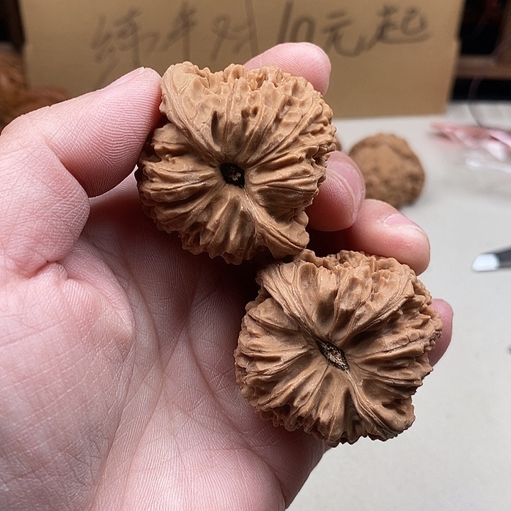 8***5龙脊菩提吊坠68.68.68.68.68.68