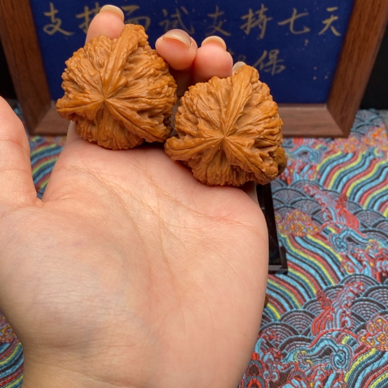 【闪购商品】剧*。白狮
