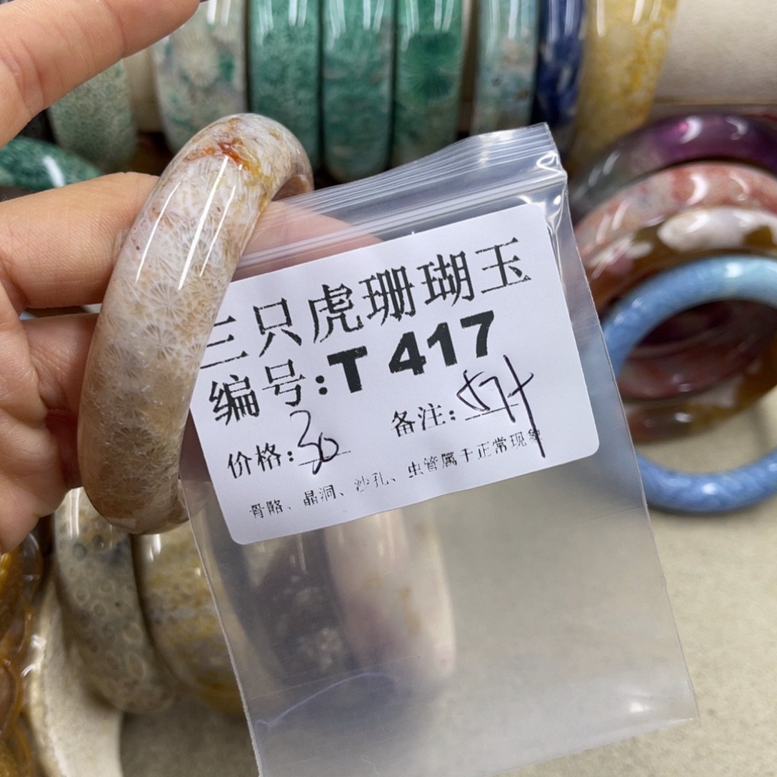 喜***理硅化珊瑚（珊瑚玉）未镶嵌h