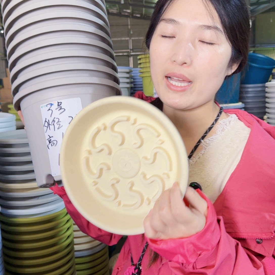 210托盘灰白10个