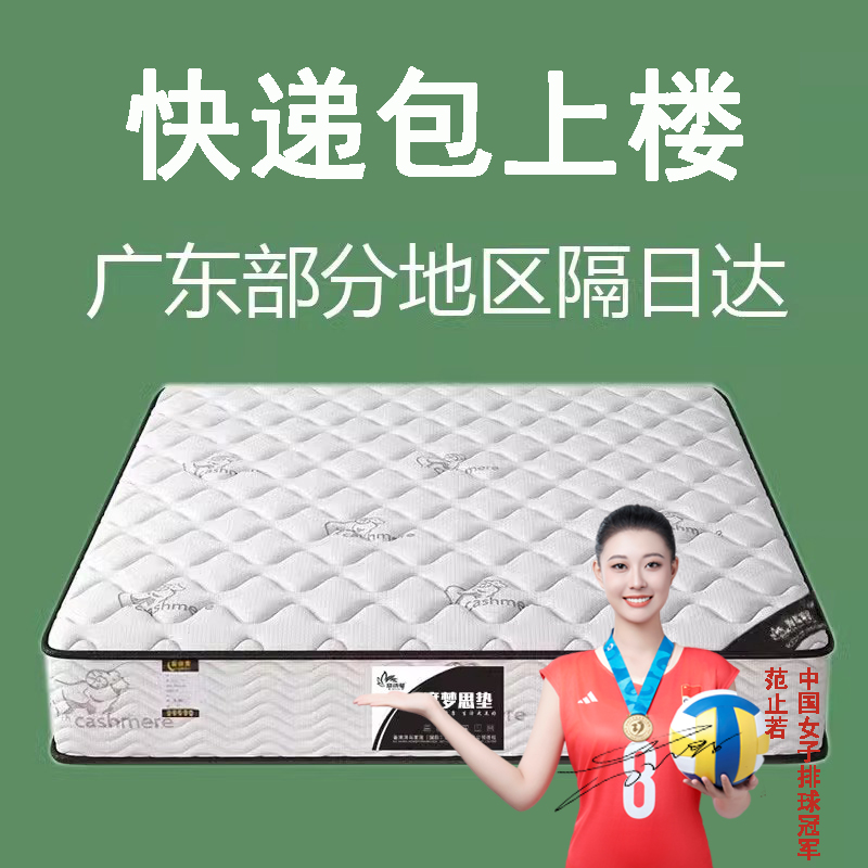 席梦思硬垫弹簧乳胶椰棕软垫偏硬家用两用20cm经济型环保加厚出租