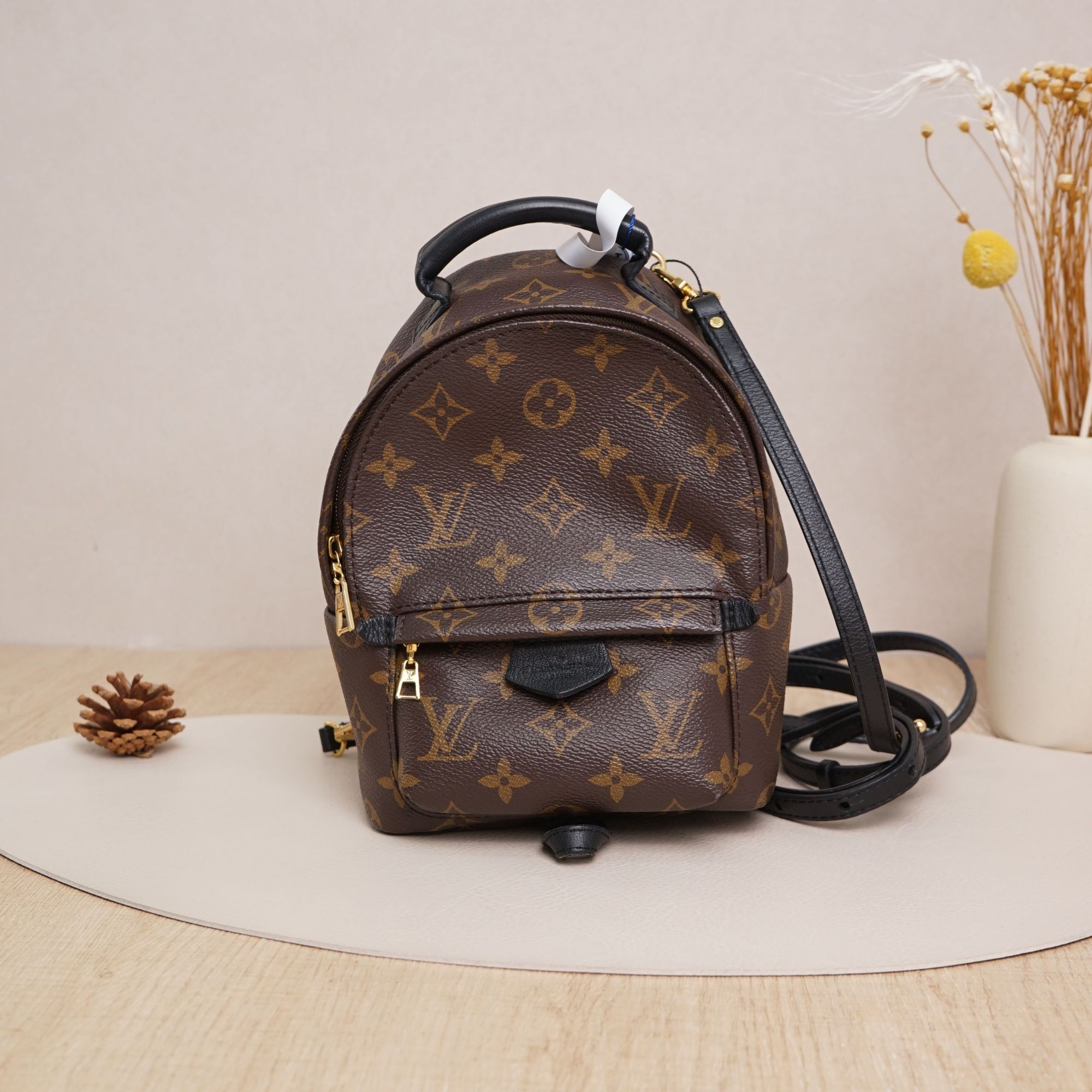 95新 LouisVuitton/路易威登 双肩包小书包mini老花/DS041279