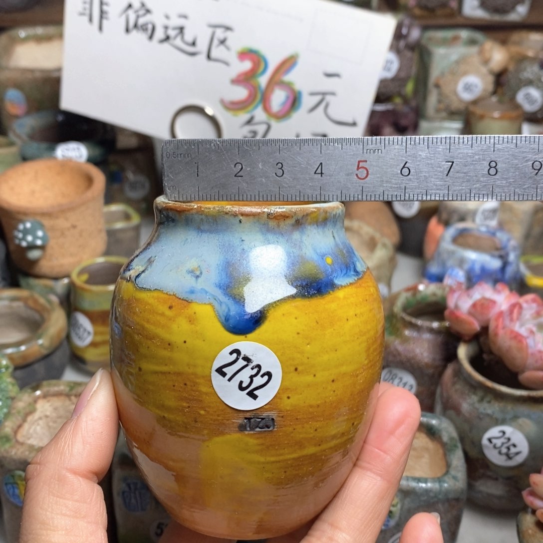 处理的花盆不退不换的，原价28