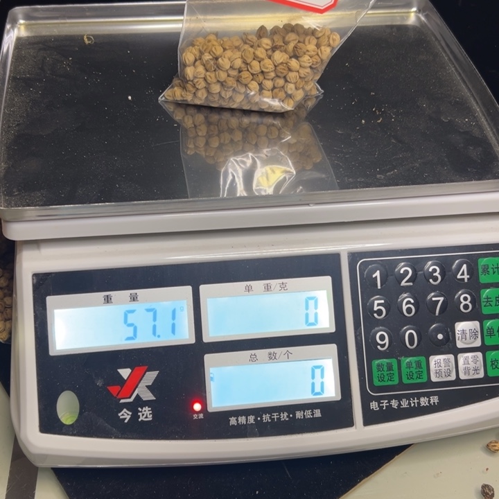 柏香籽/百香籽吊坠