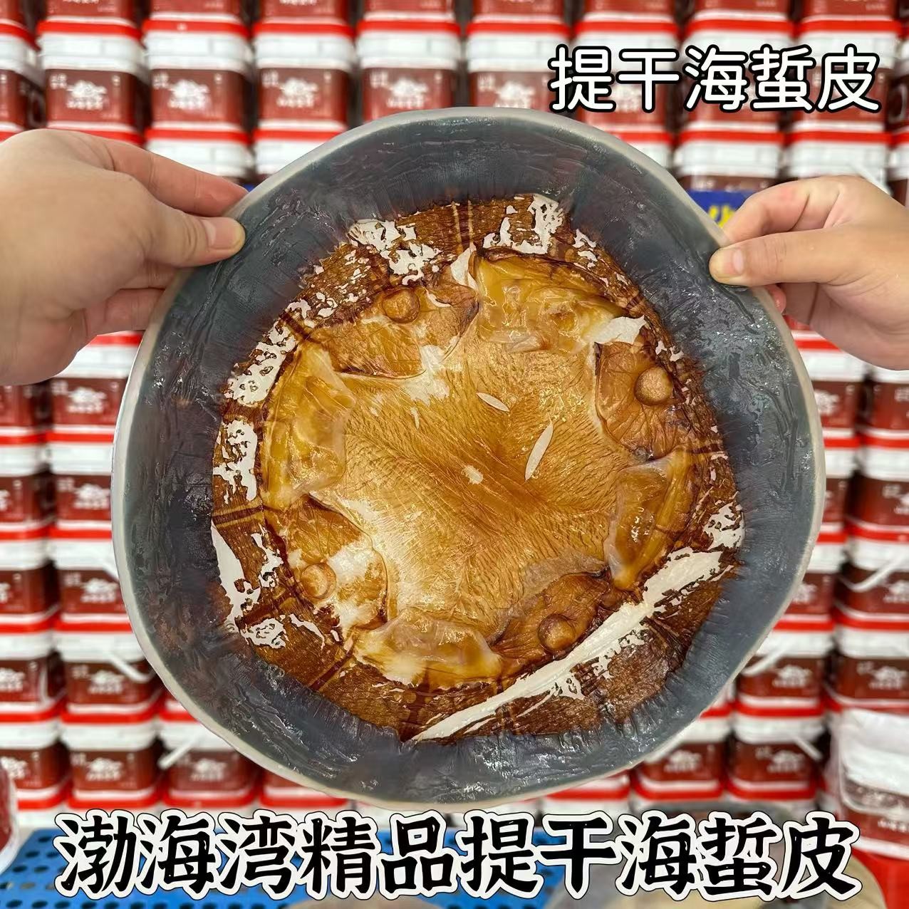 正宗渤海红太阳海蜇提干皮>5斤 顺丰发货 非即食凉拌菜开胃爽口