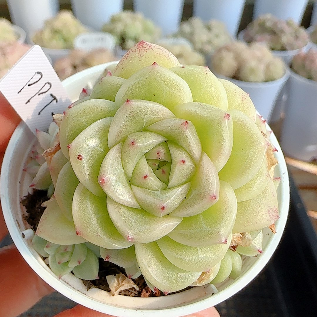 1207-118（ppt-121）优选