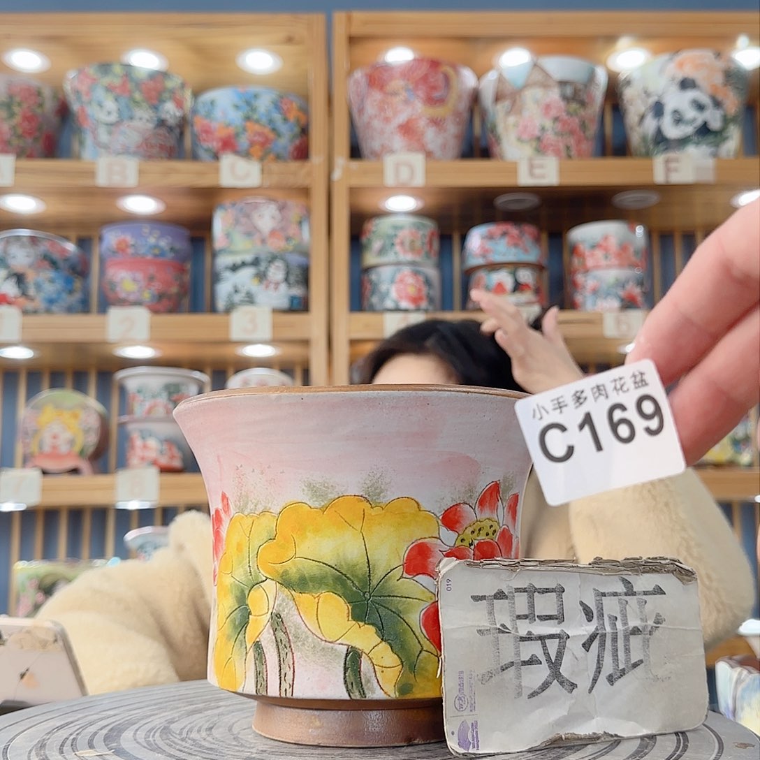 瓷片微瑕微瑕微瑕微瑕