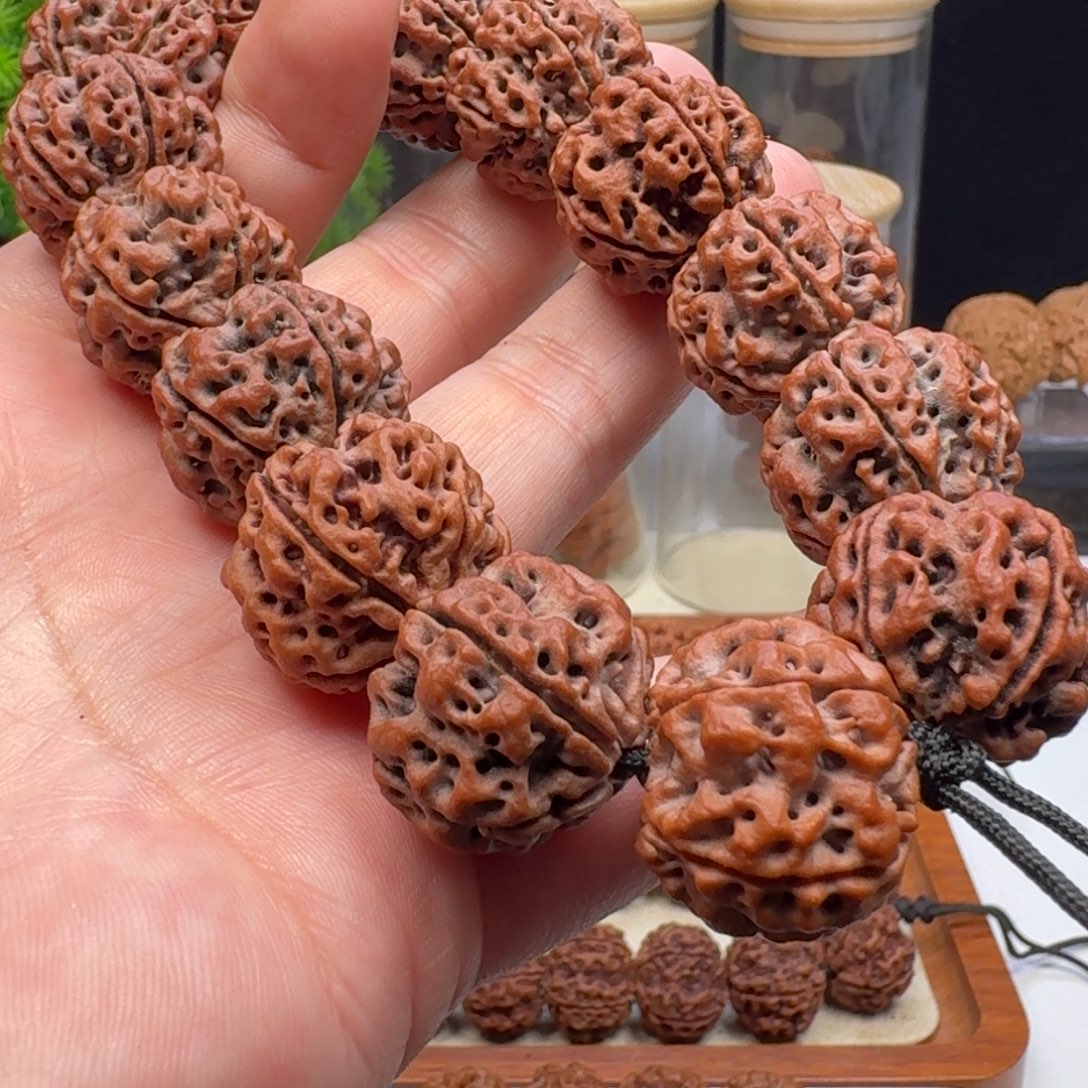 金刚菩提手串大粗筋双龙