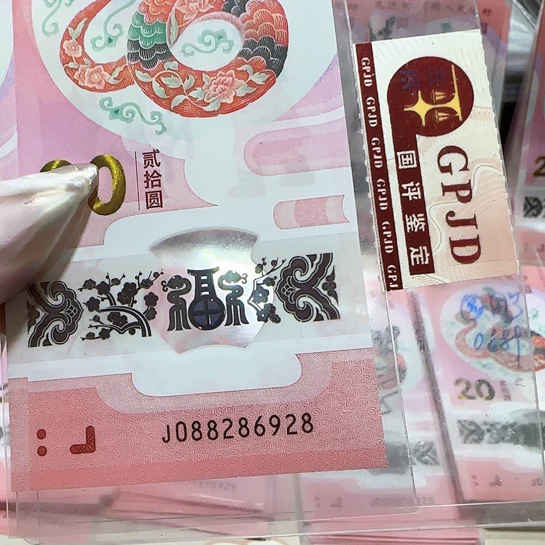 纸088286928。。。。。龙珠充实号