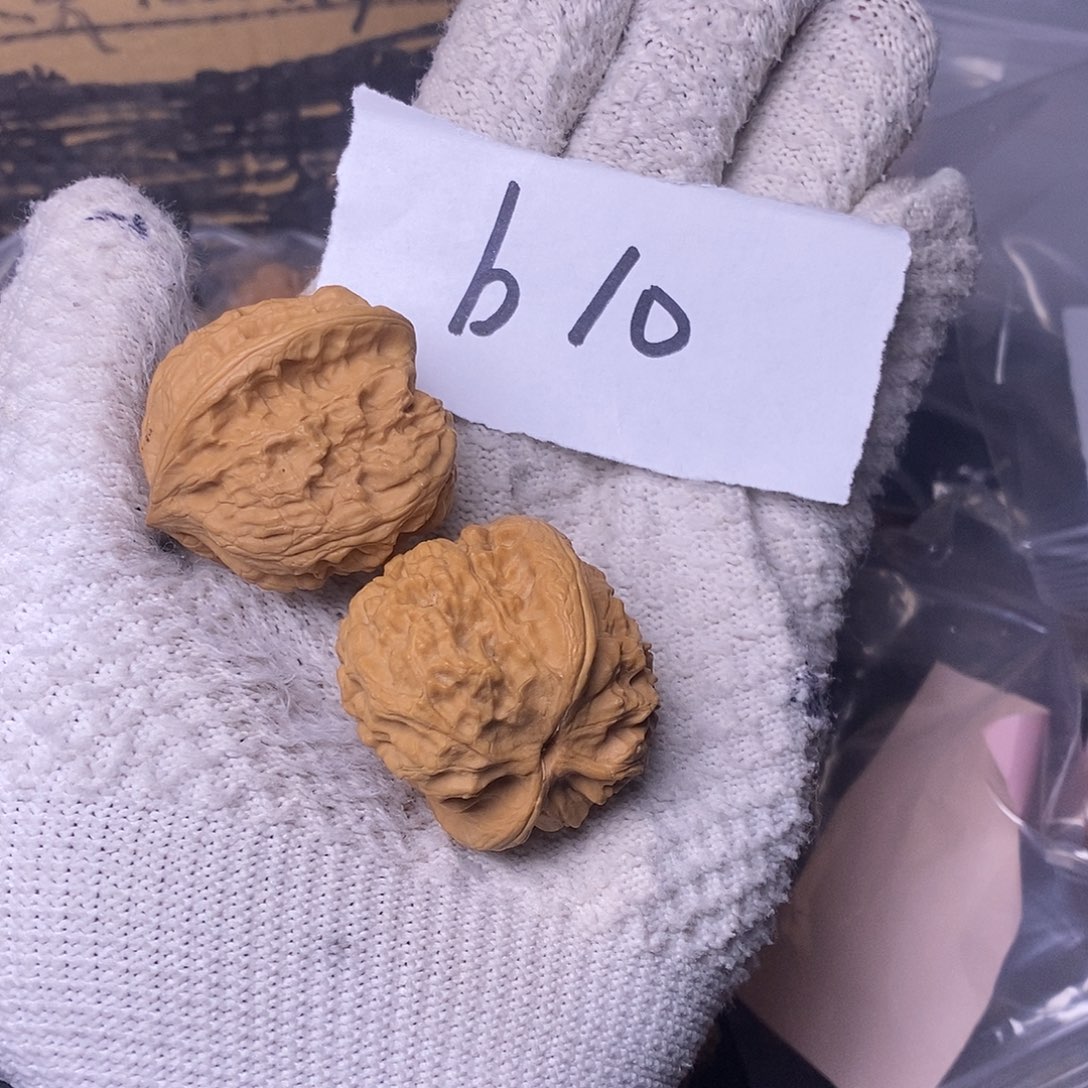 桃核把件故****听野狼核桃