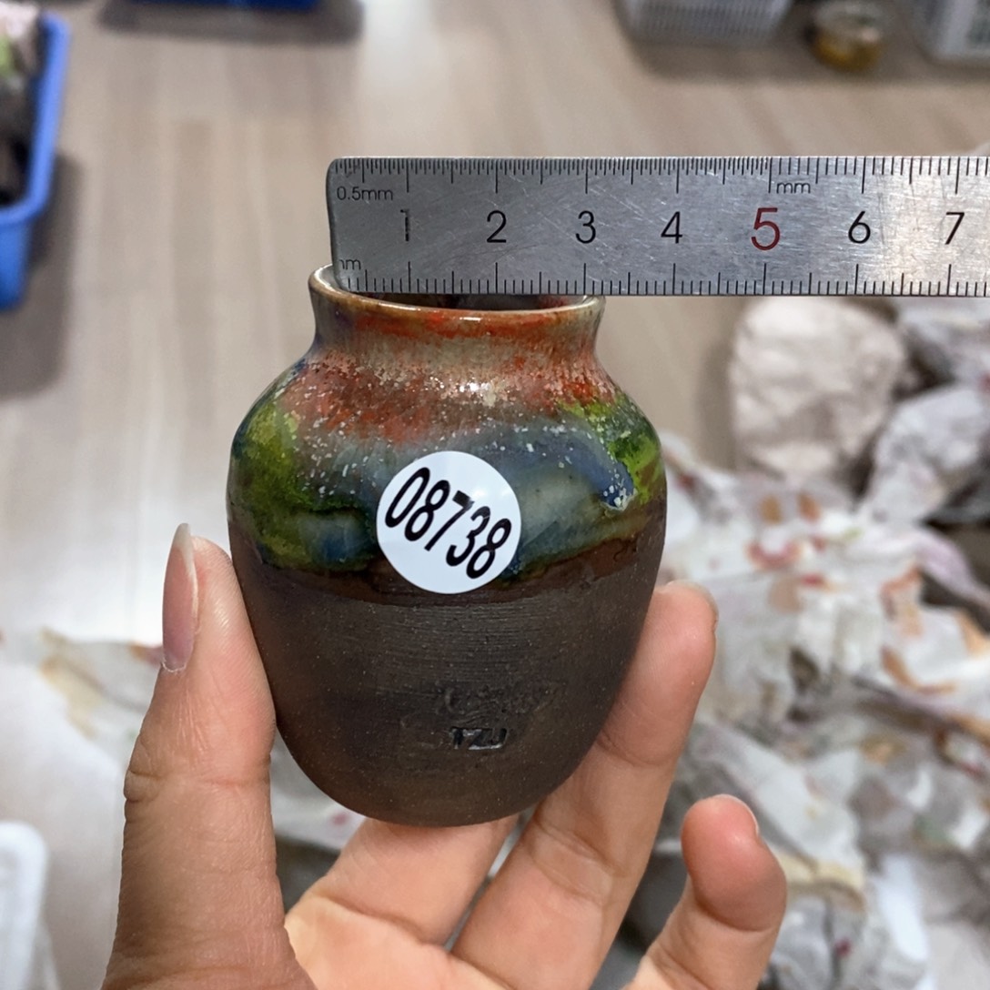 花盆拍3送一个小礼物