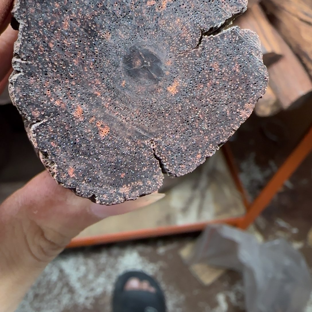 缅甸小叶降真香现场开料