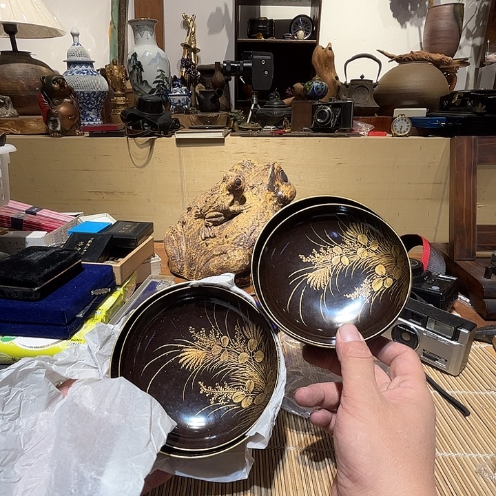 瓷片好的我真的是太喜欢