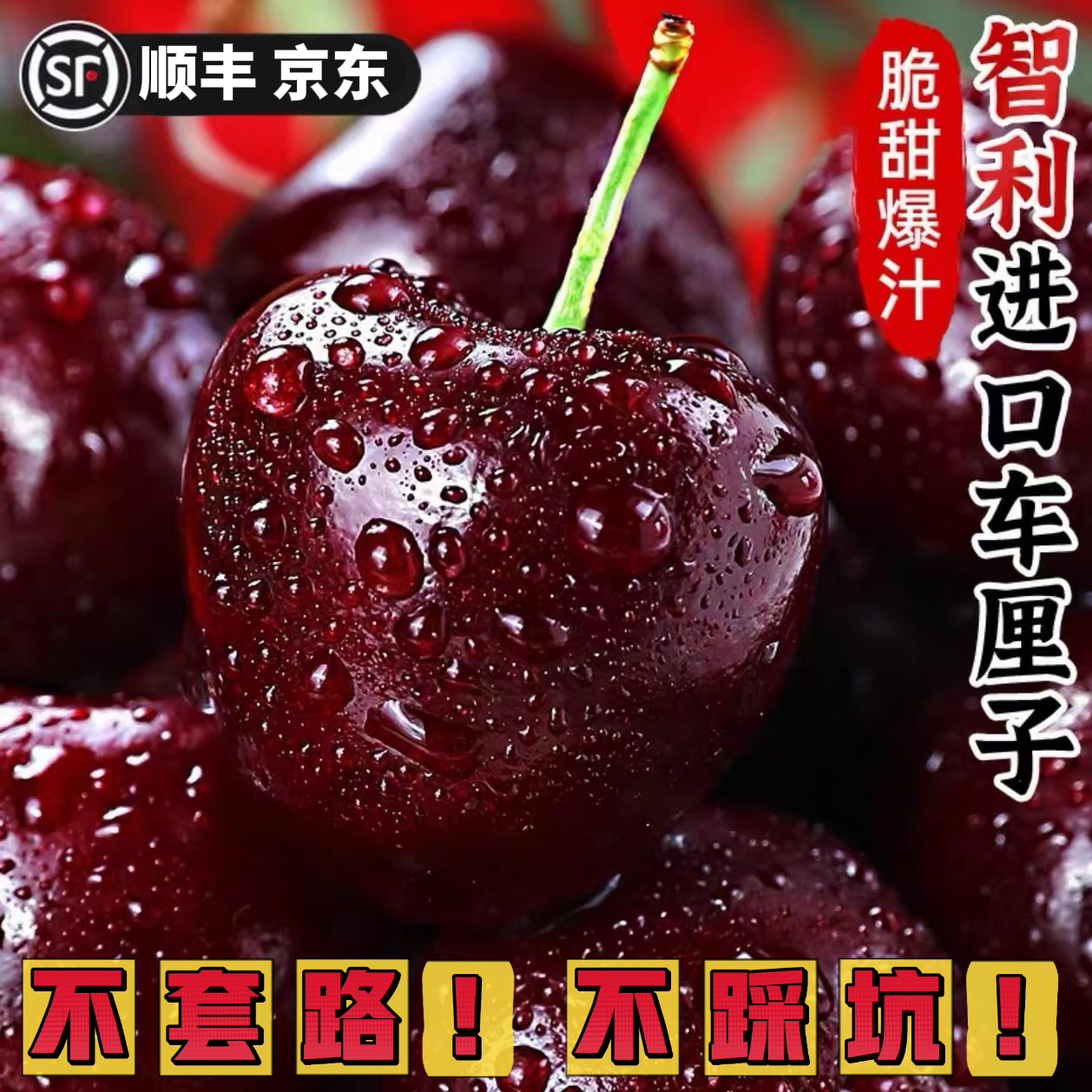 【原盒】净重5斤装 智利进口桑提娜空运车厘子水果J-3J内附果径卡A