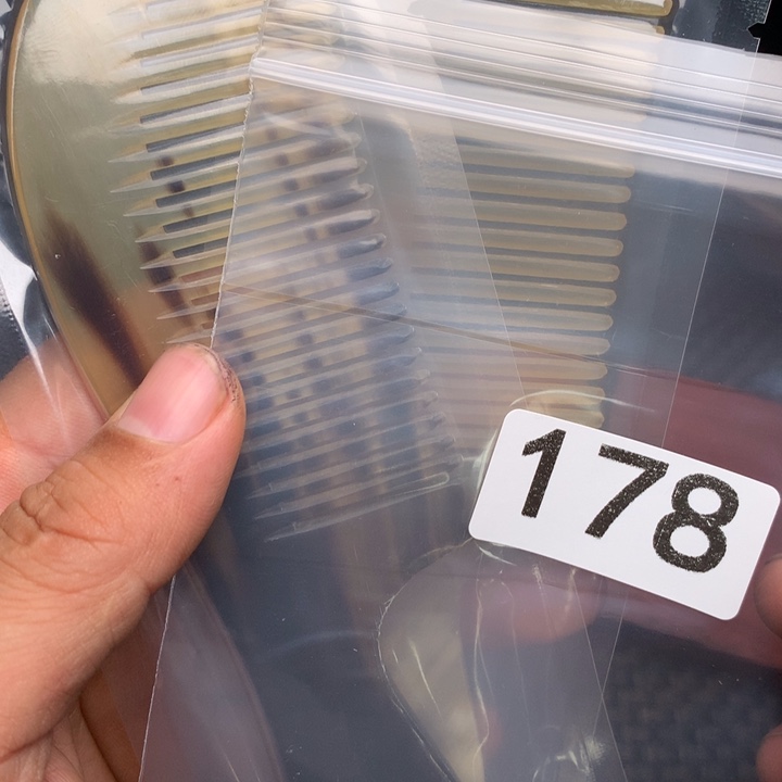 大果紫檀（缅甸花梨）