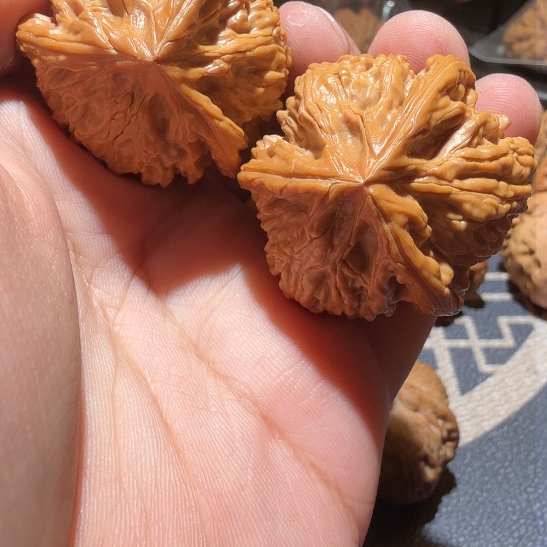 文玩核桃把件我****御龙