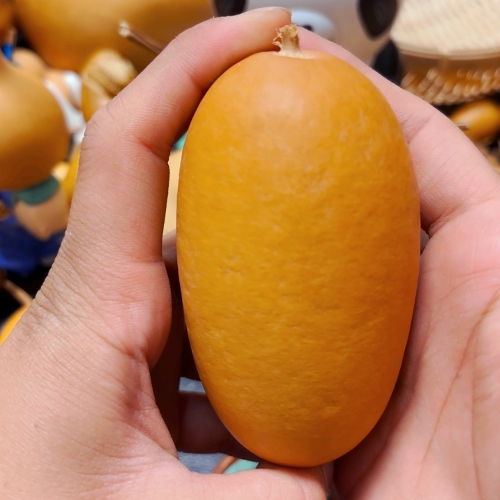 雷*88888888888888888888