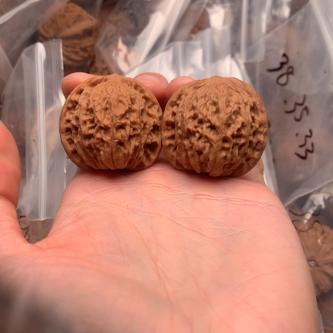 三醋酯纤维36尺红皮山地磨