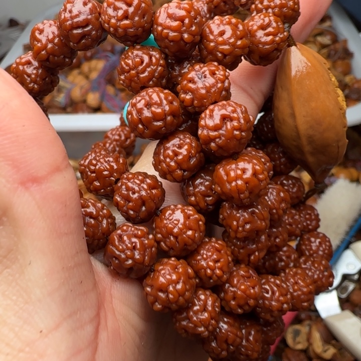 橄榄核吊坠橄榄菜洗干净后