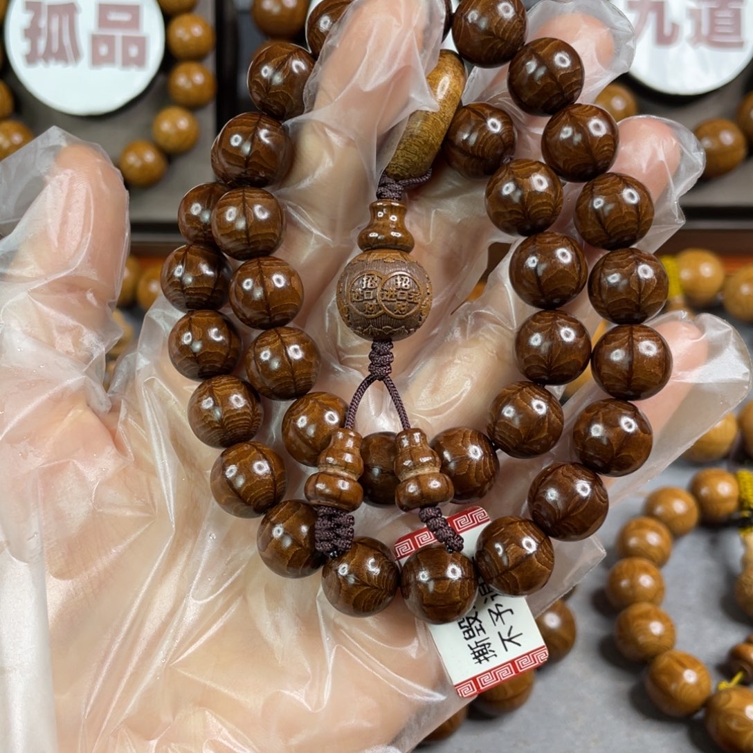 六道木枯树， 毕业1.2