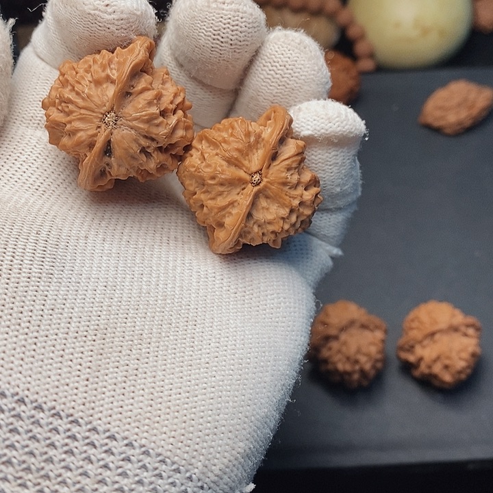 把件文玩核桃雪**月秦岭秦鸡