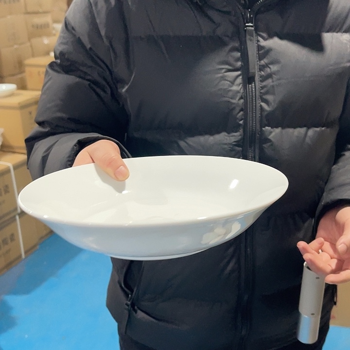 瓷片高白泥9英寸深盘两个，包邮