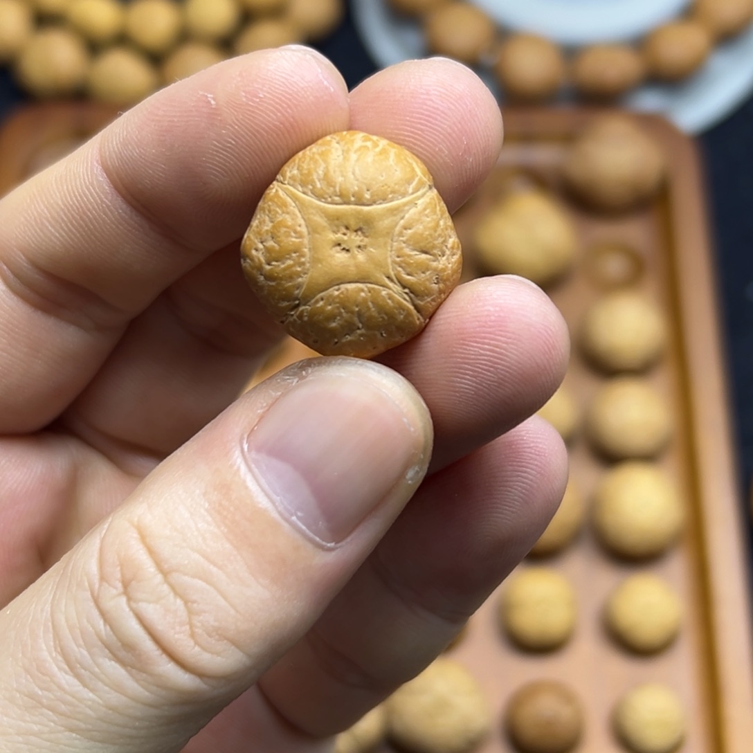 手串凤眼菩提22麒麟眼