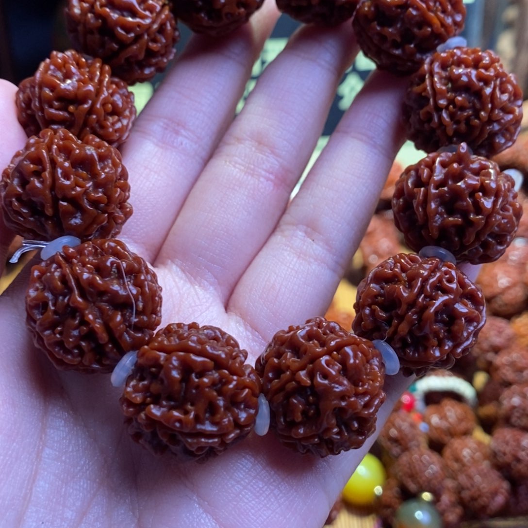 手串金刚菩提226原生态
